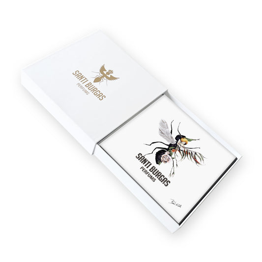 WHITE COLLECTION DISCOVERY SET