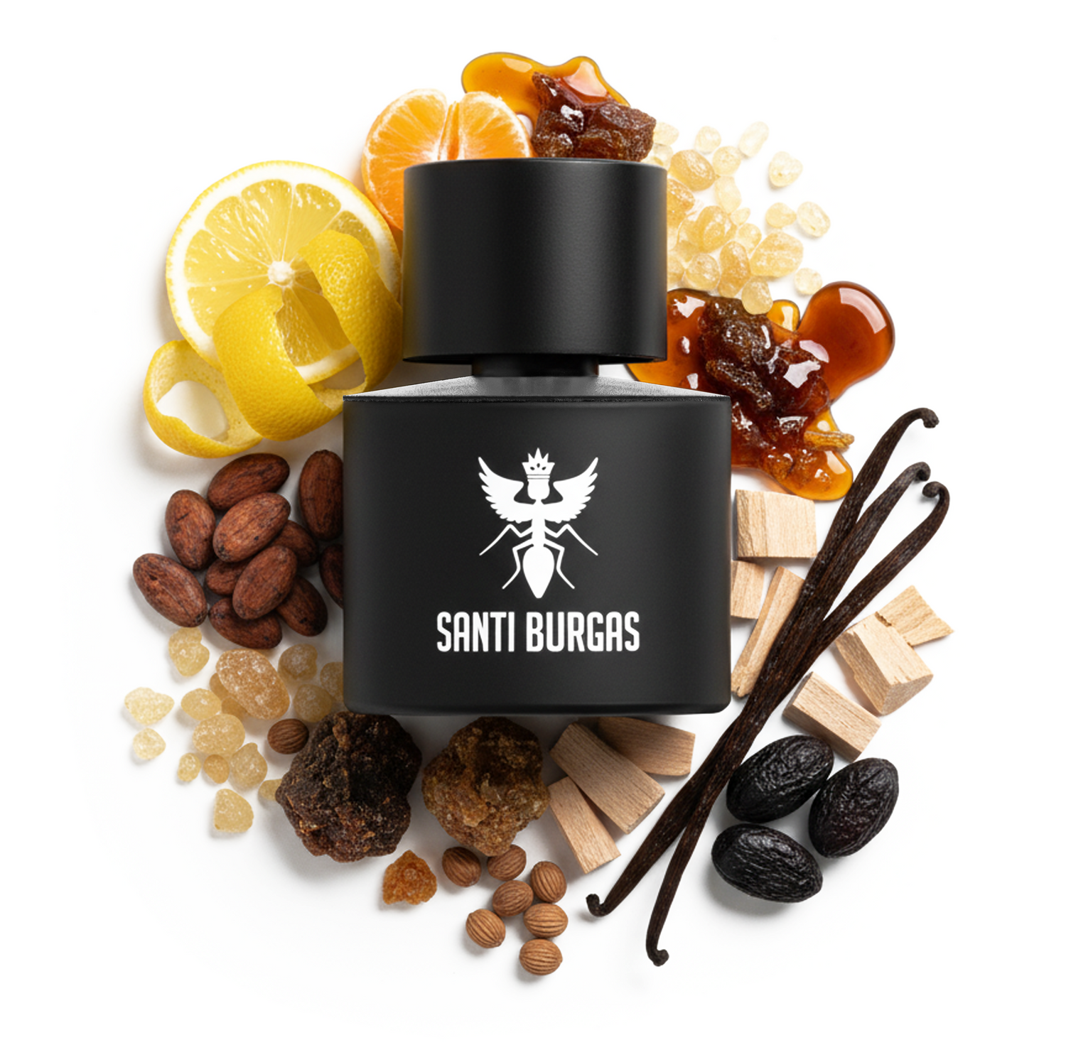 PALINDROME COLLECTION