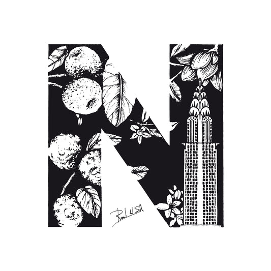 N - NYC - NEW YORK CITY