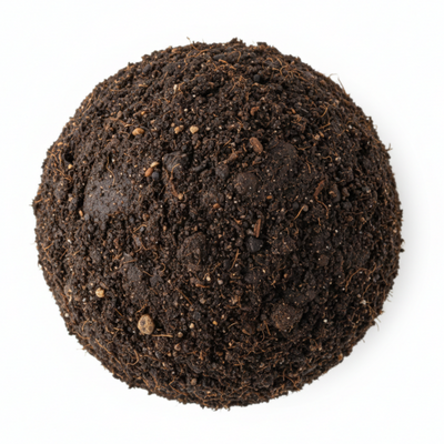 GEOSMINA