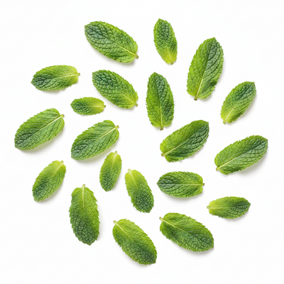 MENTHE POIVRÉE BIO