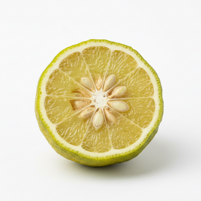 YUZU